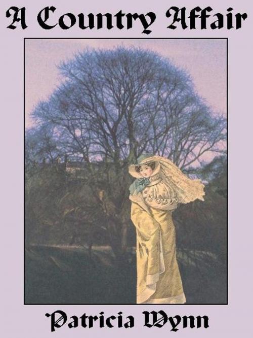 Cover of the book A Country Affair by Patricia Wynn, Belgrave House