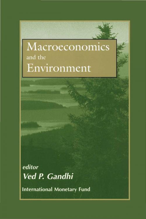 Cover of the book Macroeconomics and the Environment by , INTERNATIONAL MONETARY FUND