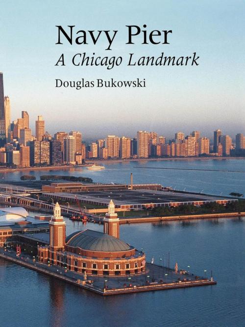Cover of the book Navy Pier by Douglas Bukowski, Ivan R. Dee