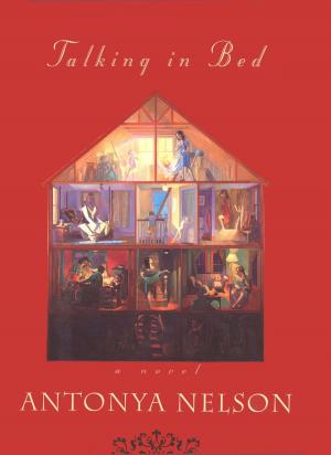 Cover of the book Talking in Bed by Delia Ray