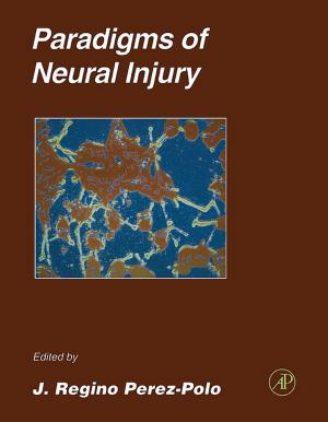 Cover of the book Paradigms of Neural Injury by Peter Aiken, M. David Allen