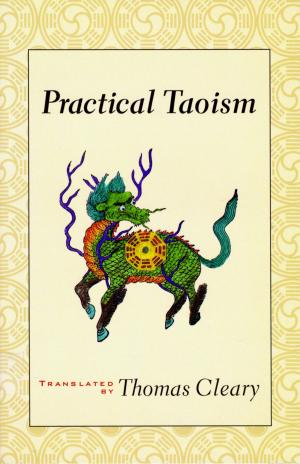 Cover of the book Practical Taoism by Fabrice Midal