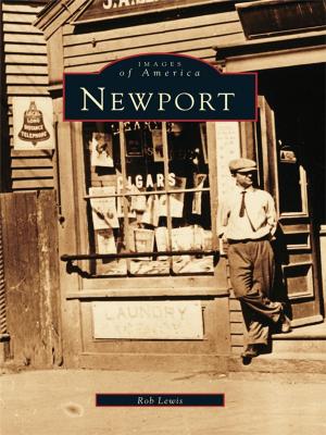 Cover of the book Newport by Brian Hander