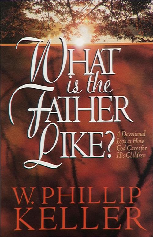 Cover of the book What Is the Father Like? by W. Phillip Keller, Baker Publishing Group