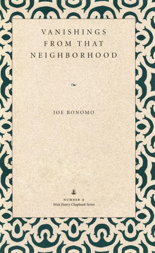 Cover of the book Vanishings From that Neighborhood by Joe Bonomo, The Kent State University Press