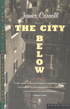 Cover of the book The City Below by Jeff Goodell