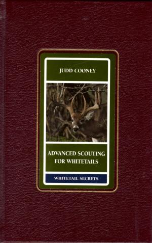 Book cover of Advanced Scouting for Whitetails