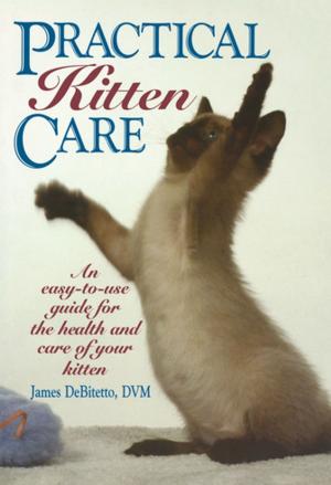 Cover of the book Practical Kitten Care by Gabrielle Kaplan-Mayer, Rabbi Sue Levi Elwell, PhD