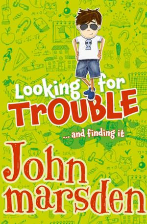 Cover of the book Looking for Trouble by Susan Butler
