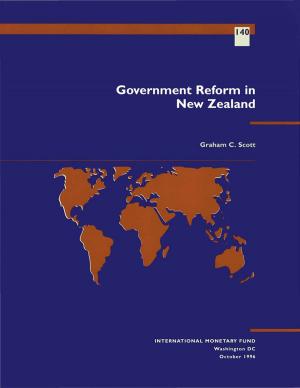 Cover of the book Government Reform in New Zealand by Omotunde Mr. Johnson, Jean-Marc Mr. Destresse, Nicholas Mr. Roberts, Mark Mr. Swinburne, Tonny Mr. Lybek, Richard Mr. Abrams
