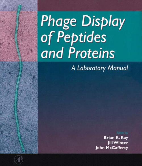 Cover of the book Phage Display of Peptides and Proteins by , Elsevier Science