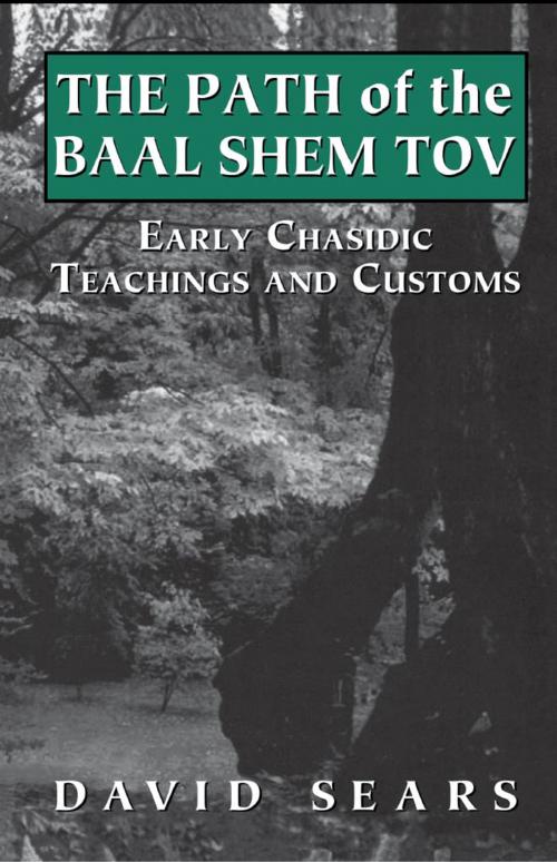 Cover of the book Path of the Baal Shem Tov by David Sears, Jason Aronson, Inc.