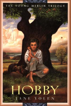 Cover of the book Hobby by Natalia Yakovenko
