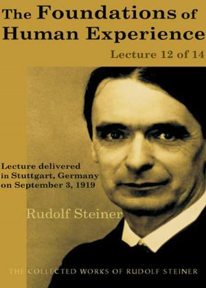 Cover of the book The Foundations of Human Experience: Lecture 12 of 14 by Rudolf Steiner, Christopher Bamford