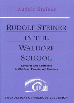 Cover of the book Rudolf Steiner in the Waldorf School by Rudolf Steiner, Gunther Hauk