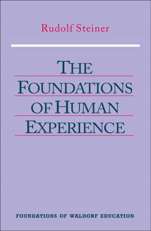 Cover of the book Foundations of Human Experience by Johann Wolfgang von Goethe