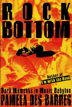 Cover of the book Rock Bottom by Scott Hunt