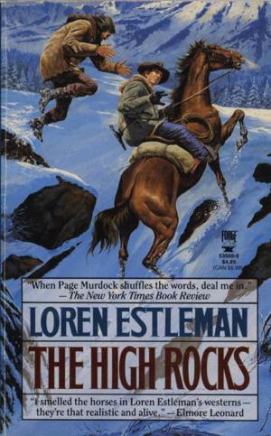 Cover of the book The High Rocks by Elmer Kelton