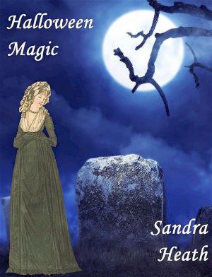 Book cover of Halloween Magic
