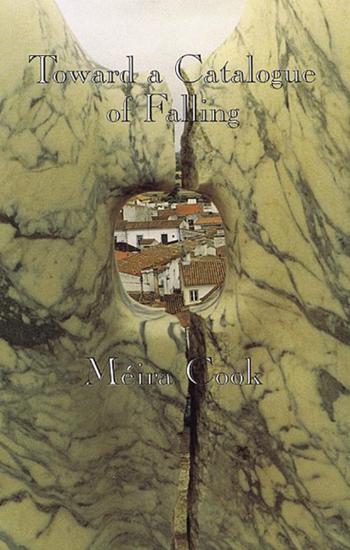 Cover of the book Toward a Catalogue of Falling by Méira Cook, Brick Books