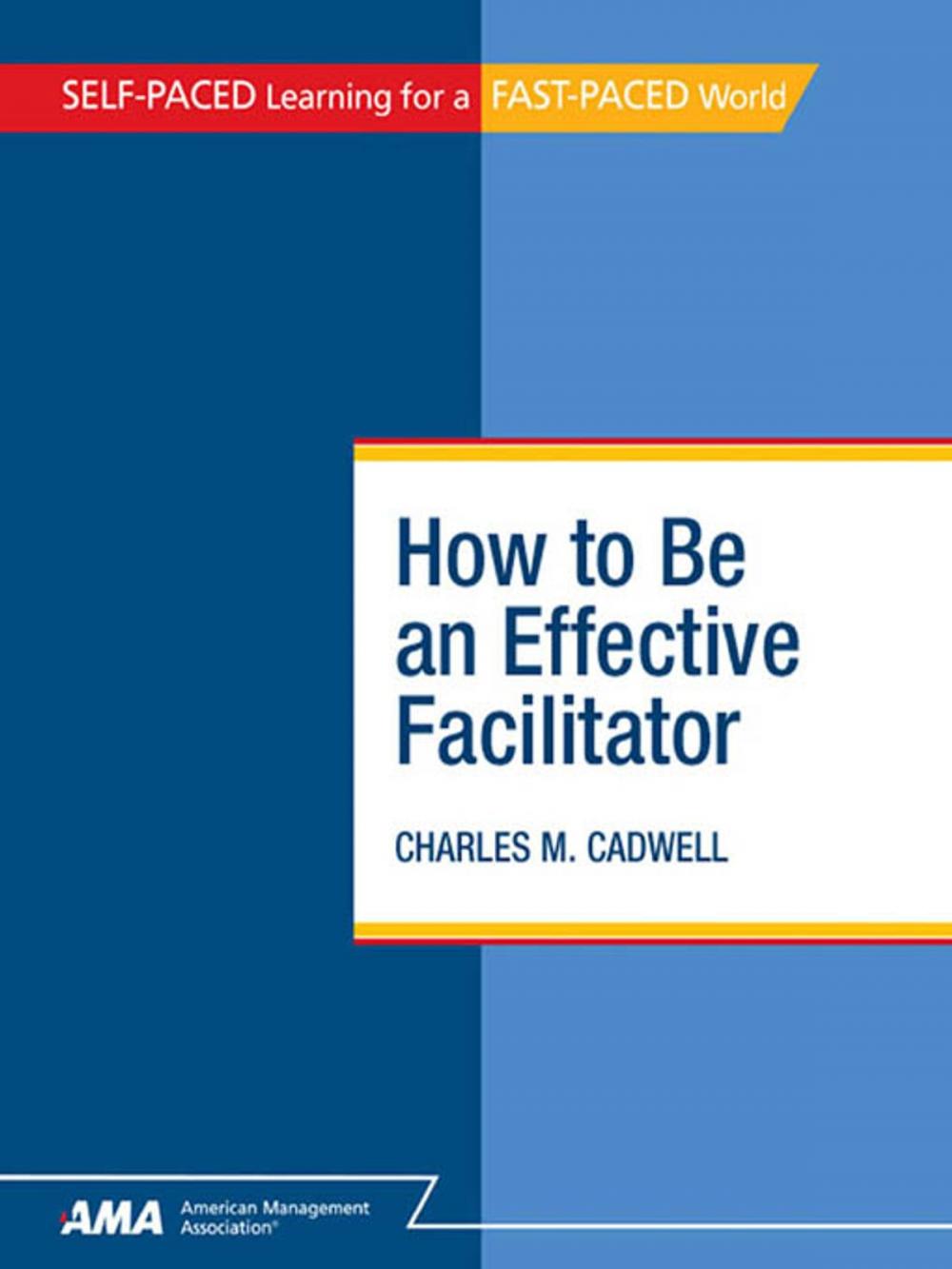Big bigCover of How To Be An Effective Facilitator: EBook Edition