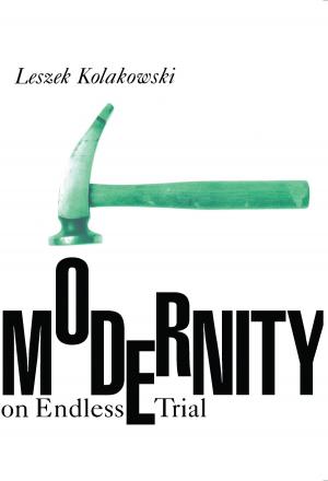 Cover of the book Modernity on Endless Trial by Robert Hariman, John Louis Lucaites