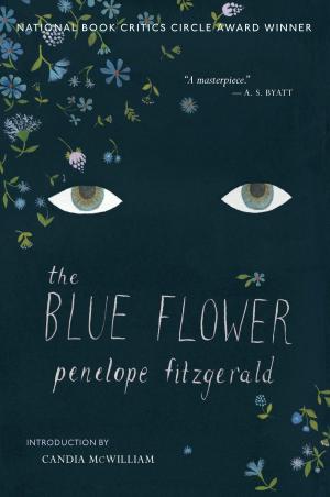 Cover of the book The Blue Flower by Marcela Valladolid