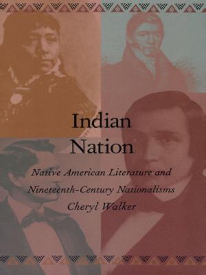 Cover of the book Indian Nation by Antonio Negri, Creston Davis, Philip Goodchild, Kenneth Surin