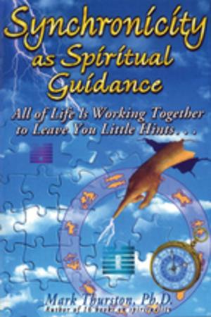Cover of the book Synchronicity as Spiritual Guidance by Terrance Zepke