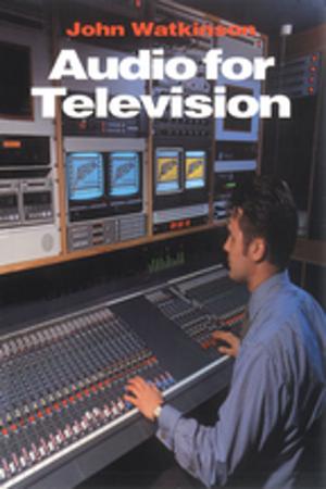 Cover of the book Audio for Television by Alina Kaczorowska-Ireland