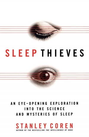 Cover of the book Sleep Thieves by Talcott Parsons