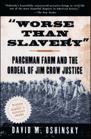 Cover of the book Worse Than Slavery by Jayne Amelia Larson