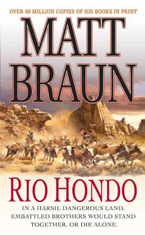 Cover of the book Rio Hondo by Eliot Pattison