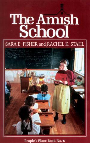Cover of the book Amish School by Sandra Drescher-Lehman
