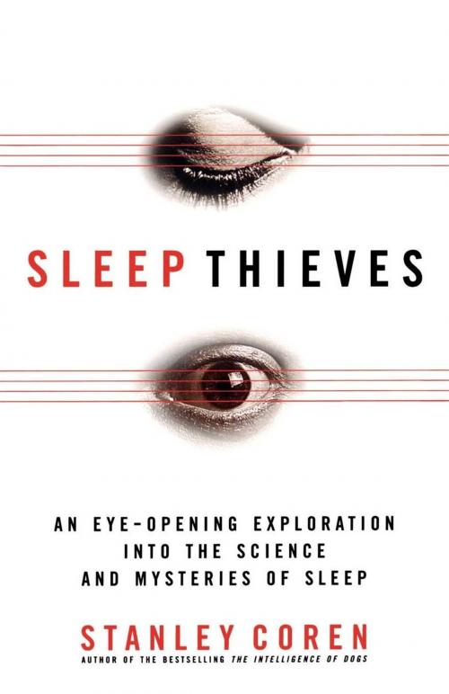 Cover of the book Sleep Thieves by Stanley Coren, Free Press