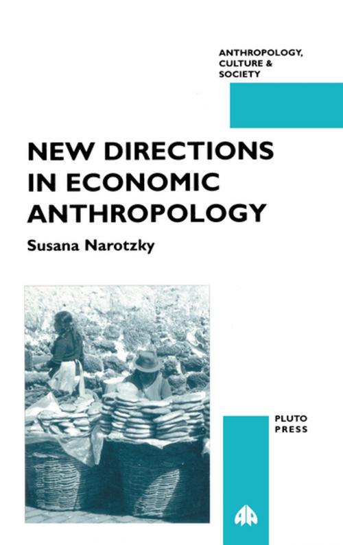 Cover of the book New Directions in Economic Anthropology by Susana Narotzky, Pluto Press