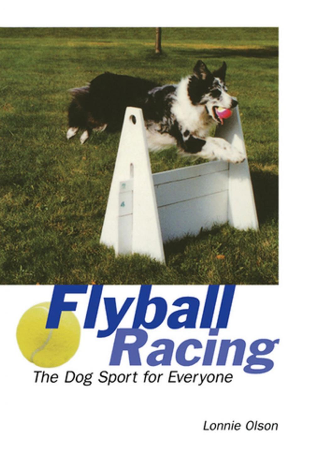 Big bigCover of Flyball Racing