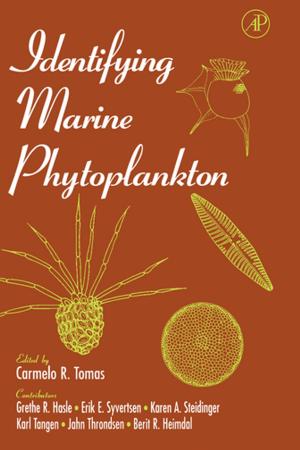 Cover of the book Identifying Marine Phytoplankton by John Vanderkolk