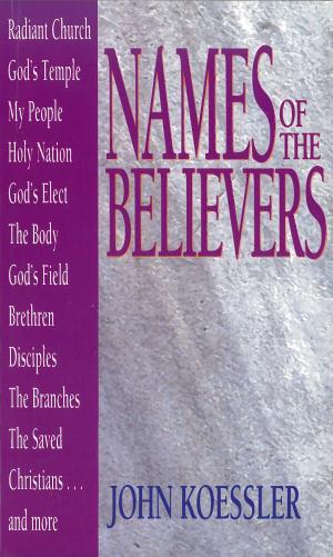 Cover of the book Names of the Believers by Brian Fikkert, Steve Corbett