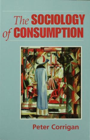 bigCover of the book The Sociology of Consumption by 