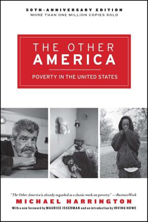 Cover of the book The Other America by Sophie Fontanel