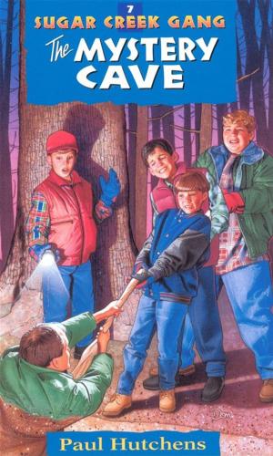 Book cover of The Mystery Cave