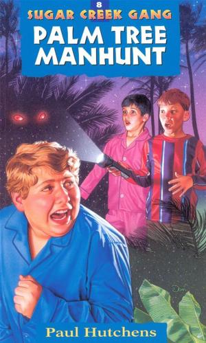 Cover of the book Palm Tree Manhunt by Mike Fabarez