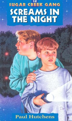 Cover of the book Screams in the Night by Dr. Kathy Koch