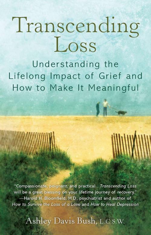 Cover of the book Transcending Loss by Ashley Davis Bush, Penguin Publishing Group