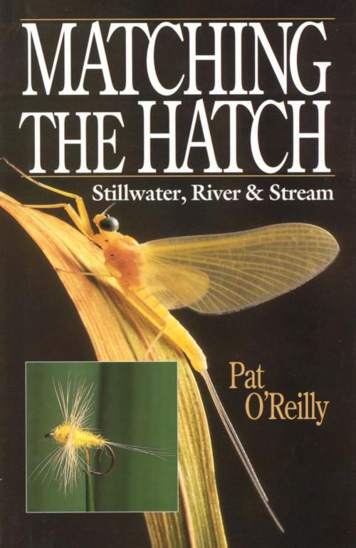 Cover of the book MATCHING THE HATCH by PAT O'REILLY, Quiller