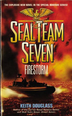Cover of the book Seal Team Seven 05: Firestorm by M. Weidenbenner