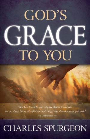Cover of the book God's Grace to You by Rebecca Brown M.D.