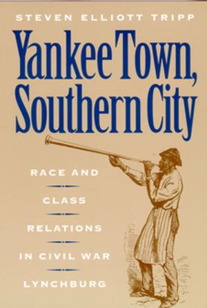 Cover of the book Yankee Town, Southern City by Hiram Pérez