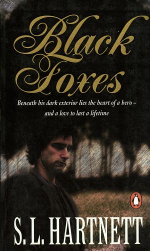 Cover of the book Black Foxes by Dónal Óg Cusack